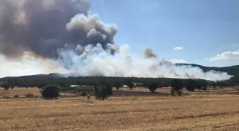 Uşak'ta Ormanlık Alanda Çıkan Yangına Havadan ve Karadan Müdahale Ediliyor