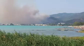 İznik'teki Ormanlık Alanda Yangın Çıktı