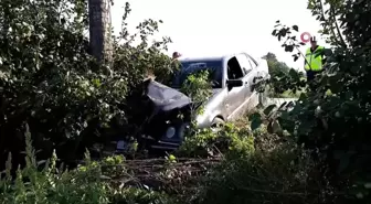 Bursa'da Mercedes ağaca çarptı: 2 yaralı