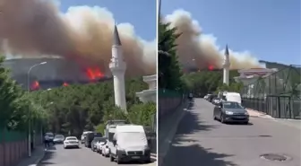 İstanbul'daki Aydos Ormanı'nda yangın çıktı! Alevler güçlükle kontrol altına alındı