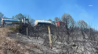 İstanbul Pendik-Aydos Ormanı'nda çıkan yangın kontrol altına alındı