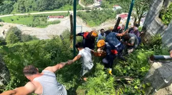 Rize'de Çay Toplarken Elektrik Akımına Kapılan Genç Hayatını Kaybetti