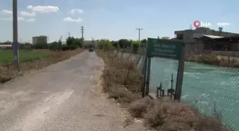 Şanlıurfa'da yüzme alanlarına getirilen yasak sonrası jandarma harekete geçti