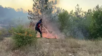 Tokat'ta ormanlık alanda çıkan yangın büyümeden söndürüldü
