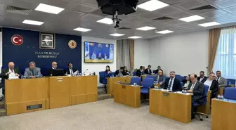 Hayvanları Koruma Kanunu'nda Değişiklik Yapılmasına Dair Kanun Teklifi'nde Ötanazi İbaresi Çıkarıldı