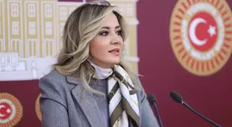 İYİ Parti Milletvekili Aylin Cesur Parti Üyeliğinden İstifa Etti