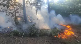 Balıkesir Havran'da Orman Yangını