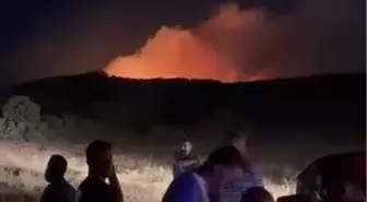 Elazığ'da Orman Yakınında Çıkan Örtü Yangını Söndürüldü