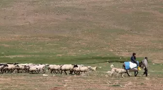 Erzurum'da göçer çocuklarına Kur'an-ı Kerim eğitimi