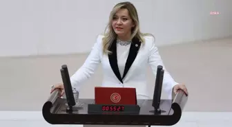 İYİ Parti Isparta Milletvekili Aylin Cesur Partiden İstifa Etti