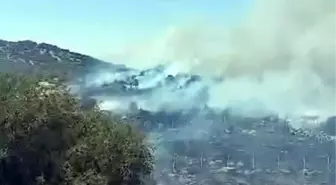 Kahramanmaraş'ta Orman Yangını