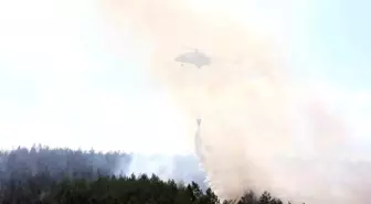 Kastamonu'da Orman Yangınına Havadan ve Karadan Müdahale Devam Ediyor