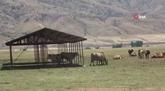 Muş'ta bir köy karantinaya alındı