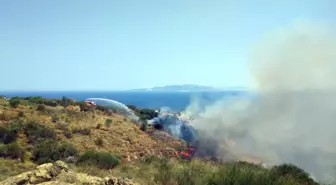 Tekirdağ Şarköy'de çıkan yangında 35 dönüm zeytinlik ve 600 dönüm tarım alanı zarar gördü