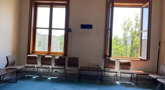 Sokak Hayvanlarına Ötanazi Yolunu Açan Kanun Teklifi Görüşmeleri Devam Ediyor