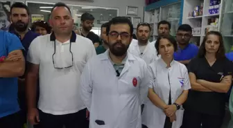 Veteriner Hekim Darbedildi, Şüpheliler Serbest Bırakıldı