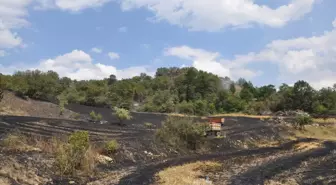 Amasya'da buğday ekili arazide yangın çıktı