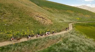 Van'ın Gürpınar ilçesindeki Berivanlar At Sırtında Yol Kat Ediyor