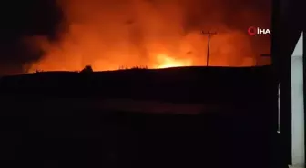 Diyarbakır'da anız yangını: Bölgedeki rüzgarın etkisiyle alevler geniş alana yayıldı