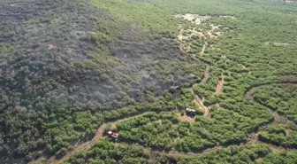 Elazığ'ın Karakoçan ilçesinde çıkan yangın kontrol altına alındı