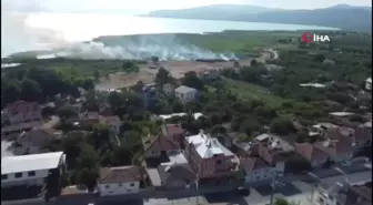 İznik Gölü kıyısındaki sazlıklarda yangın