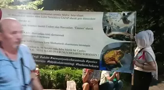 Kuğulu Park'ta Hayvanları Koruma Kanunu protestosu