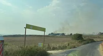 Tarsus'ta Anız Yangını Tarladan Meyve Bahçesine Sıçradı