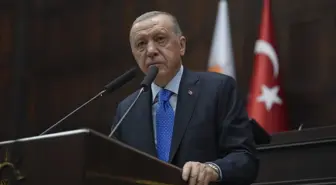 Erdoğan: Türkiye'nin ekonomik kapasitesi kredi notlarının üzerinde