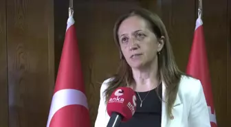 DİSK Genel Başkanı Arzu Çerkezoğlu, Sendikal Mevzuatın Demokratikleştirilmesi İçin Mücadele Verdiklerini Söyledi