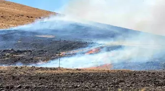 Elazığ'da dağlık alanda çıkan yangın kontrol altına alındı