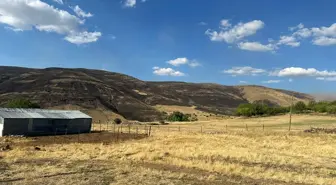 Elazığ'da otluk alanda çıkan yangın söndürüldü