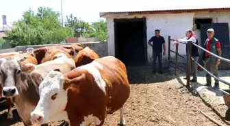 Erzincan'da Küçük Aile İşletmeleri Ziyaret Edildi