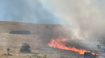 Malatya'da çıkan örtü yangını söndürüldü