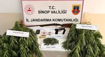 Sinop'ta Uyuşturucu ve Silah Operasyonu: Ele Geçirildi