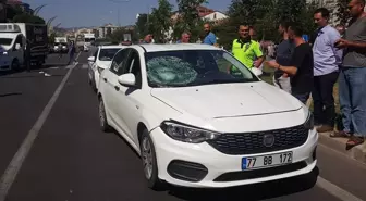 Bingöl'de Otomobilin Çarptığı Kişi Hayatını Kaybetti