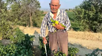 88 Yaşındaki Çiftçi Gençlere Tarımı Tavsiye Etti