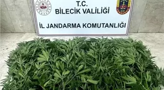 Bilecik'te Uyuşturucu Operasyonu: 2 Şüpheli Yakalandı