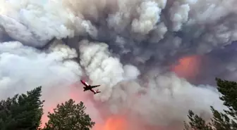 ABD'nin California Eyaletindeki Orman Yangını 145 Bin Dönüme Yayıldı