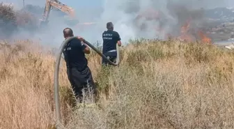 Hatay'ın Defne ilçesinde çıkan anız yangını söndürüldü