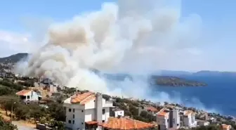 İzmir'deki Orman Yangınında Evlere Yakın Olma Tehlikesi