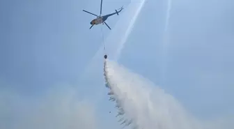 İzmir Dikili'de Orman Yangını: Havadan ve Karadan Müdahale Devam Ediyor