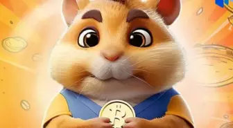 27 TEMMUZ HAMSTER KOMBAT GÜNLÜK ŞİFRE KOMBO | Hamster Kombat yeni şifre ne, nasıl kullanılır? Hamster Kombat nedir?