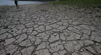 Batı Karadeniz'de Kuraklık ve Yağış Düzensizliği Bitkileri Etkiliyor