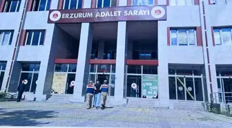 Erzurum'da jandarma ekipleri hakkında yakalama kararı olan şahıs operasyonla ele geçirildi