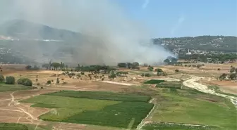 Muğla'da çıkan orman yangınına müdahale devam ediyor