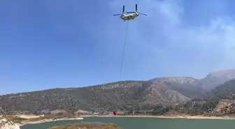 Muğla'nın Milas ilçesinde orman yangını çıktı