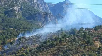 Manisa'da makilik alanda çıkan yangın söndürüldü