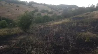 Bingöl'ün Kiğı ilçesinde çıkan örtü yangını söndürüldü