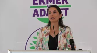 DEM Parti Eş Genel Başkanı Tülay Hatimoğulları Batman'da ziyaretler gerçekleştirdi