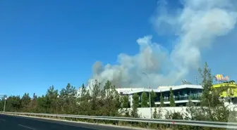 Gaziantep'te çıkan orman yangınına müdahale ediliyor